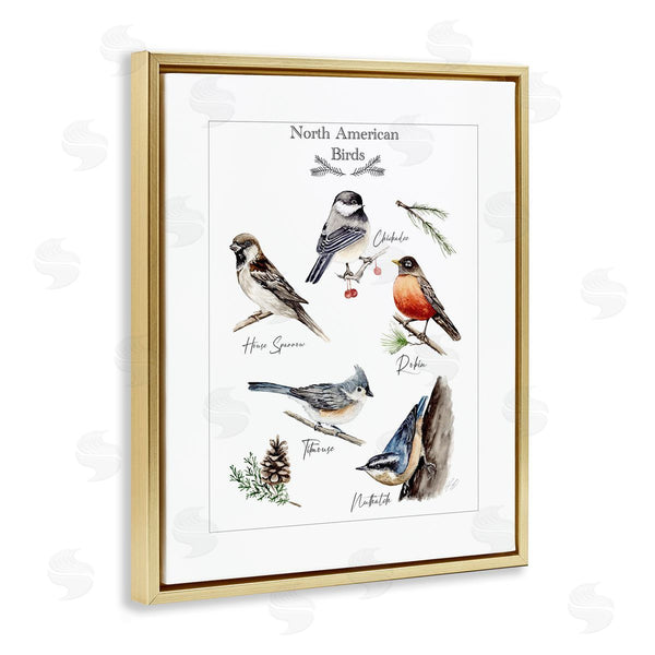 Stupell Industries Heather Desormeaux | North American Birds Chart