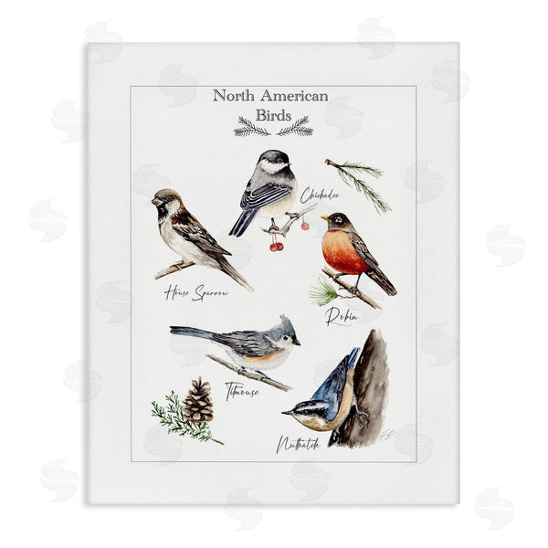 stupell industries Heather Desormeaux | North American Birds Chart