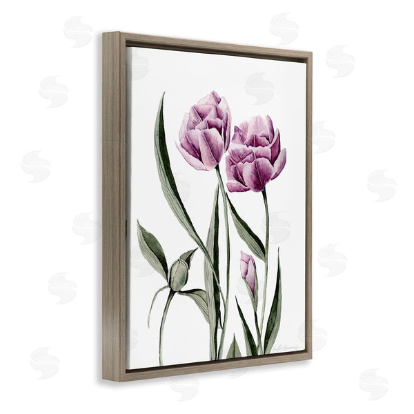 Stupell Industries Heather Desormeaux | Pink Tulip Elegance