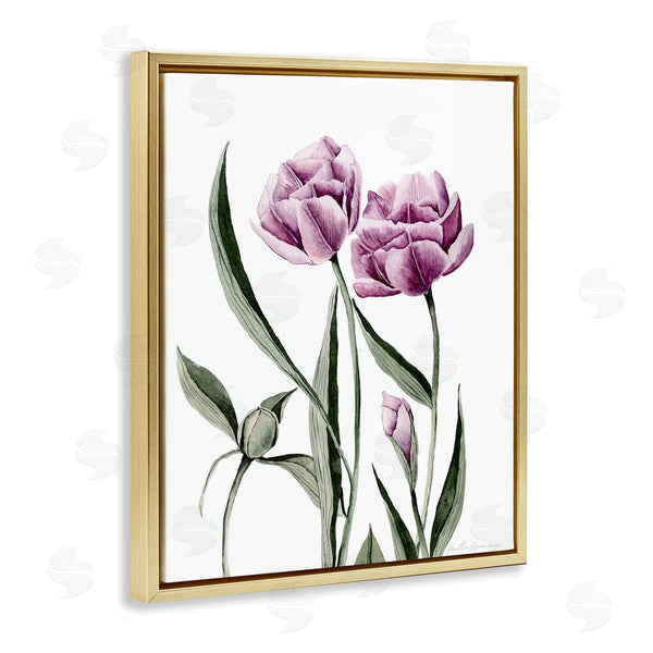 Stupell Industries Heather Desormeaux | Pink Tulip Elegance
