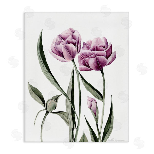 stupell industries Heather Desormeaux | Pink Tulip Elegance