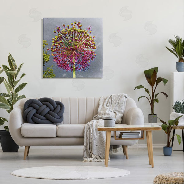 Stupell Industries Heidi Bannon | Modern Dandelion Pink Abstract Wall Art