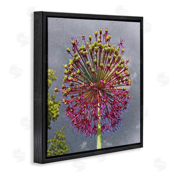 Stupell Industries Heidi Bannon | Modern Dandelion Pink Abstract Wall Art