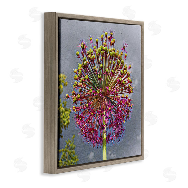 Stupell Industries Heidi Bannon | Modern Dandelion Pink Abstract Wall Art