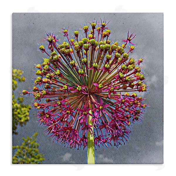 stupell industries Heidi Bannon | Modern Dandelion Pink Abstract Wall Art