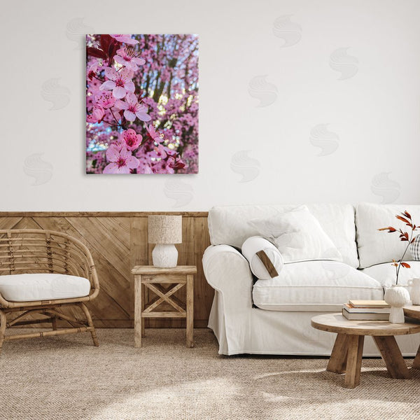 Stupell Industries Heidi Bannon | Spring Pink Cherry Blossom Flowers Blooming Photography Wall Art