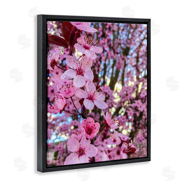 Stupell Industries Heidi Bannon | Spring Pink Cherry Blossom Flowers Blooming Photography Wall Art