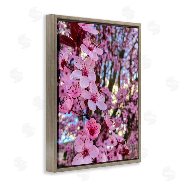 Stupell Industries Heidi Bannon | Spring Pink Cherry Blossom Flowers Blooming Photography Wall Art