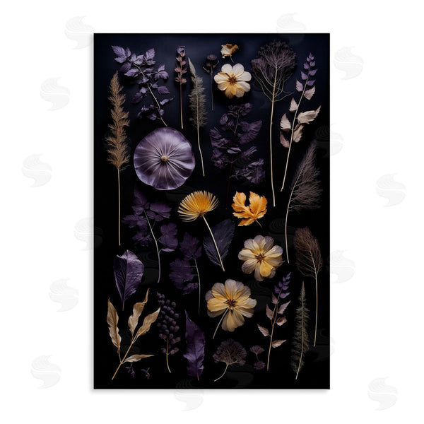 stupell industries Heidi Kuntz | Flower Specimens on Black