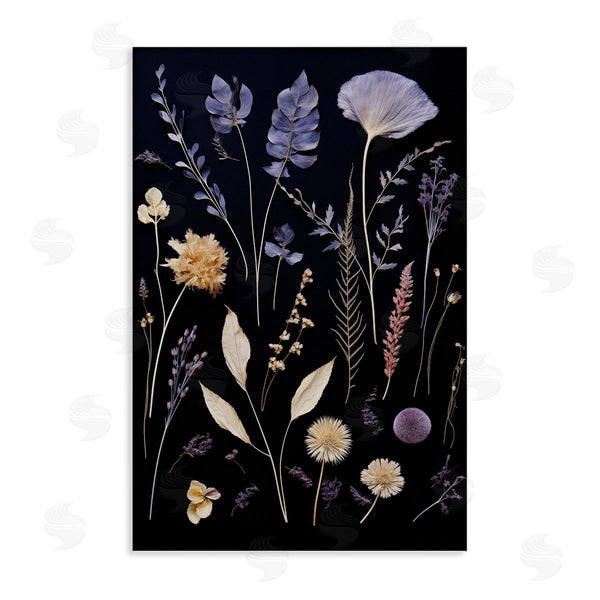 stupell industries Heidi Kuntz | Various Sprigs on Black