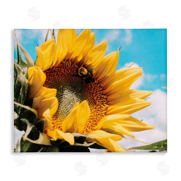 stupell industries Hey Bre Creative Studio | Summer Sunflower Blossom Pollinating Honey Bee Photography Wall Art