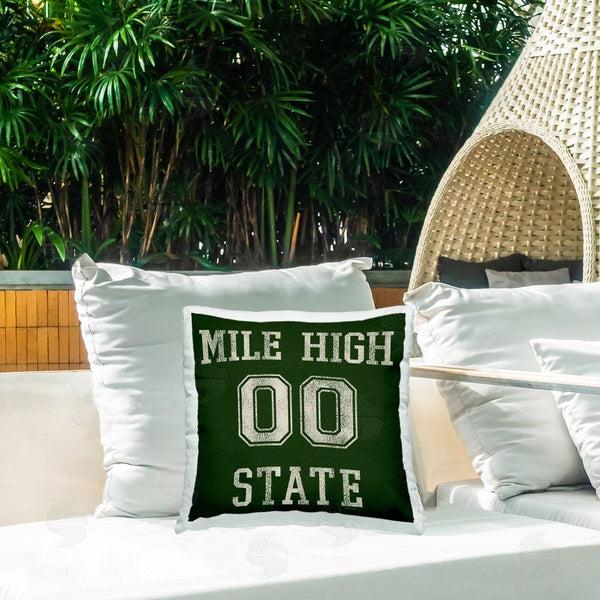 Stupell Industries Higher Learning/Life Is High | Vintage Mile High State Printed Throw Pillow