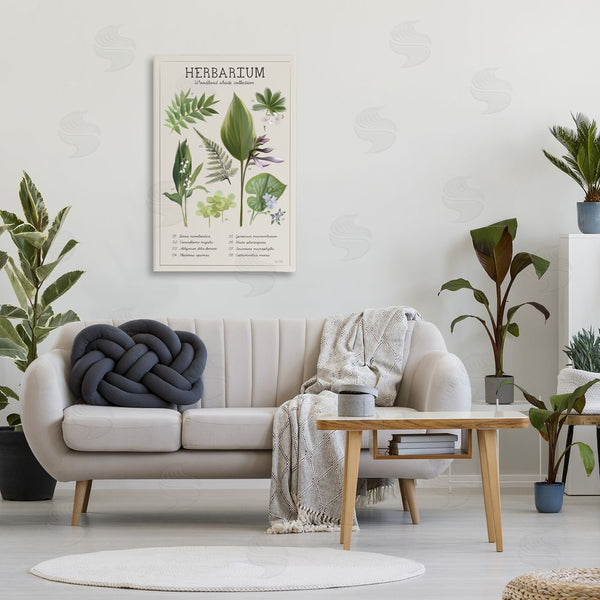 Stupell Industries House Fenway | Herbarium Woodland Shade Collection Wall Art