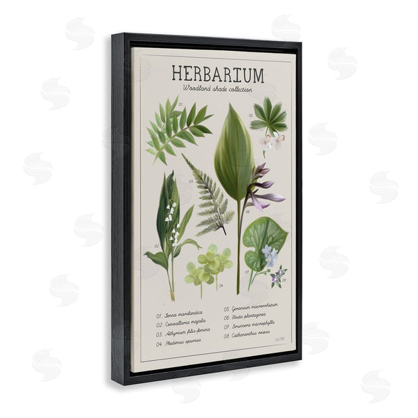 Stupell Industries House Fenway | Herbarium Woodland Shade Collection Wall Art