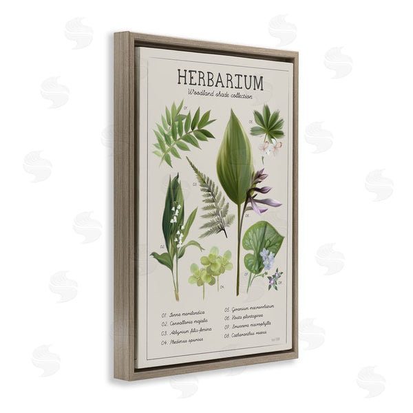 Stupell Industries House Fenway | Herbarium Woodland Shade Collection Wall Art