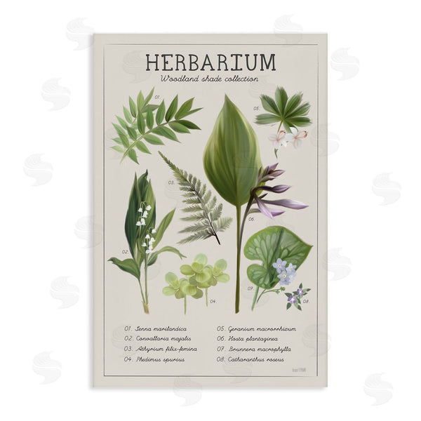 stupell industries House Fenway | Herbarium Woodland Shade Collection Wall Art