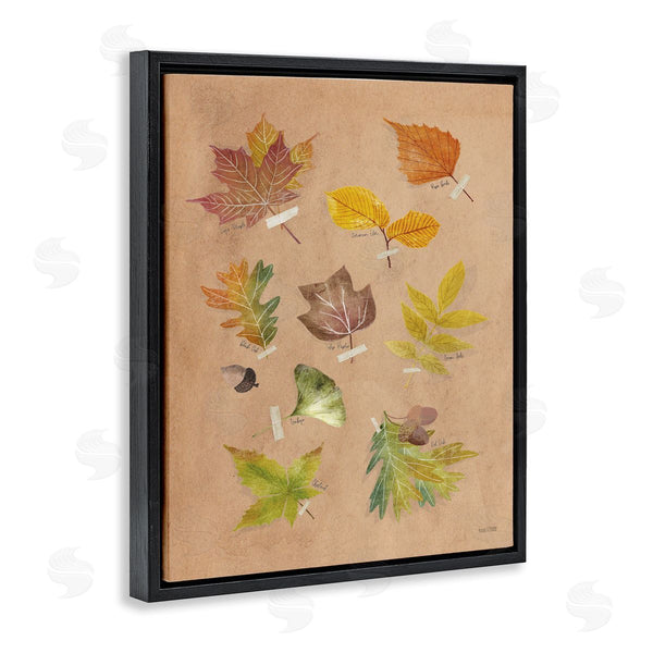 Stupell Industries House Fenway | Woodland Leaf Studies Wall Art