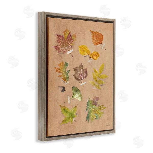 Stupell Industries House Fenway | Woodland Leaf Studies Wall Art