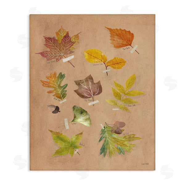 stupell industries House Fenway | Woodland Leaf Studies Wall Art