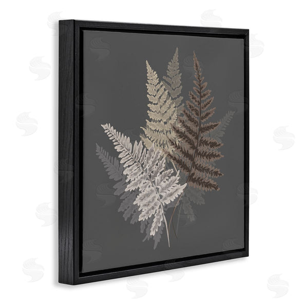Stupell Industries House Of Rose | Fern Sprigs Leaves Layered Nature Earthy Botanicals Wall Art