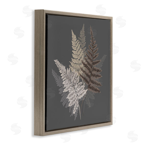 Stupell Industries House Of Rose | Fern Sprigs Leaves Layered Nature Earthy Botanicals Wall Art