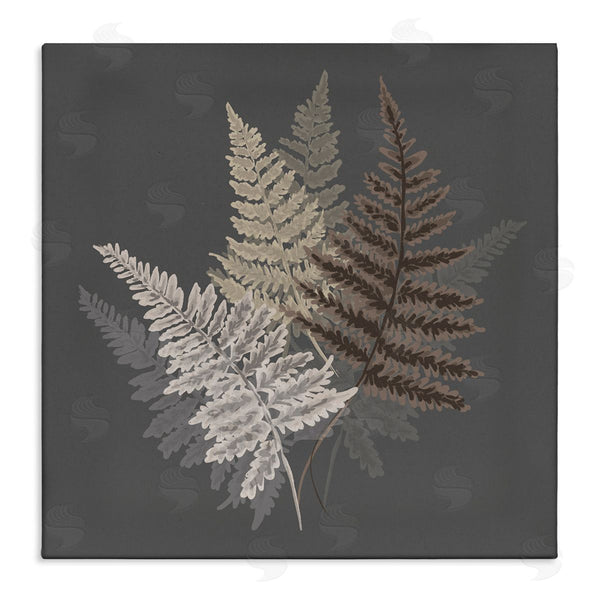 stupell industries House of Rose | Fern Sprigs Leaves Layered Nature Earthy Botanicals Wall Art