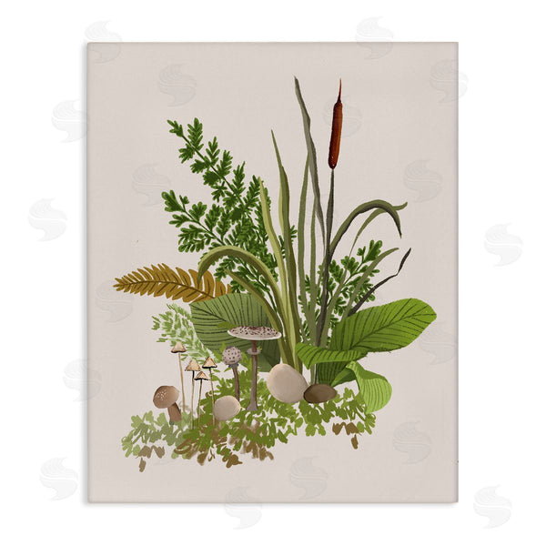 stupell industries House of Rose | Varied Nature Botanicals Forest Floor Mushrooms Arrangement Wall Art