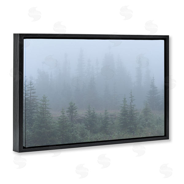 Stupell Industries Hunter Page Photography | Foggy Forest Trees