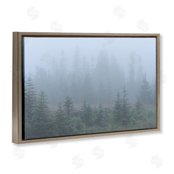 Stupell Industries Hunter Page Photography | Foggy Forest Trees