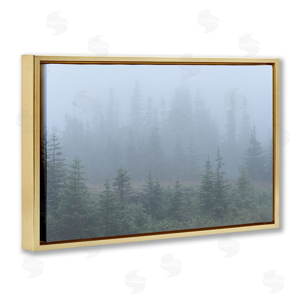 Stupell Industries Hunter Page Photography | Foggy Forest Trees