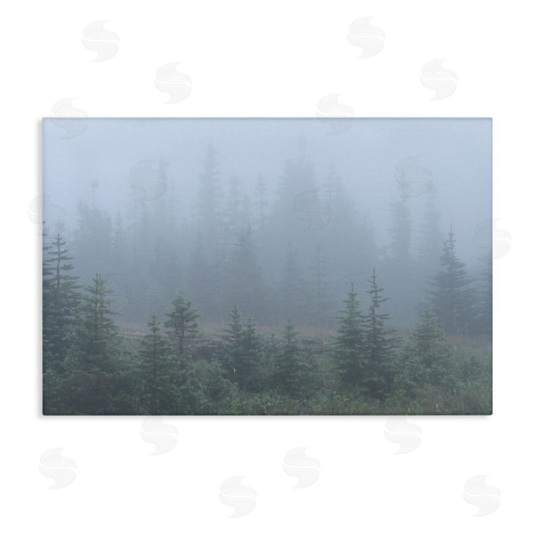 stupell industries Hunter Page Photography | Foggy Forest Trees