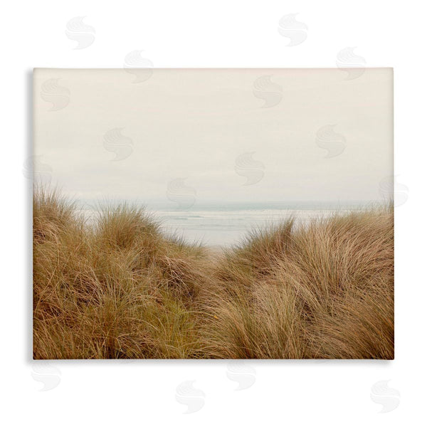 stupell industries Ian Winstanley | Beach Behind Tall Grass Sun Bleached Ocean Landscape Wall Art