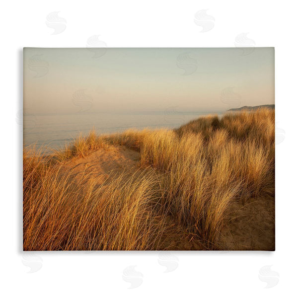 stupell industries Ian Winstanley | Ocean Cliff Sunset Sun Bleached Grass Seaside Photography Wall Art