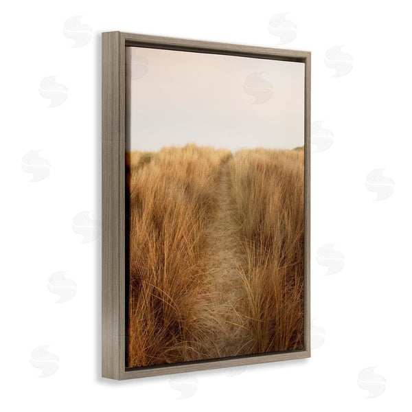 Stupell Industries Ian Winstanley | Summer Sand Dune Pathway Sun Bleached Grassy Landscape Wall Art