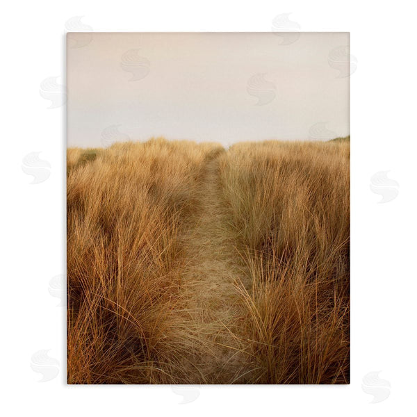 stupell industries Ian Winstanley | Summer Sand Dune Pathway Sun Bleached Grassy Landscape Wall Art