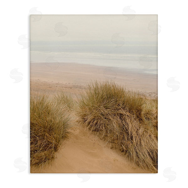 stupell industries Ian Winstanley | Sun Bleached Beach Coast Tall Grass Sand Dunes Wall Art