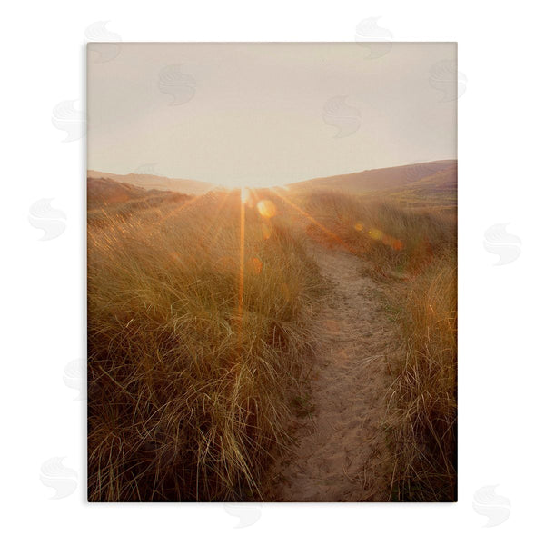 stupell industries Ian Winstanley | Sunrays Through Sun Bleached Sand Dunes Tall Grass Wall Art