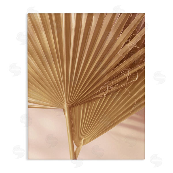 stupell industries Ian Winstanley | Two Palm Fronds Sun Bleached Photography Tropical Plants Wall Art