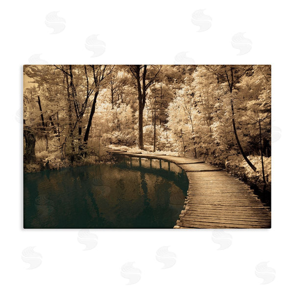 stupell industries Ily Szilagyi | Take My Lead Curved Bridge Wall Art