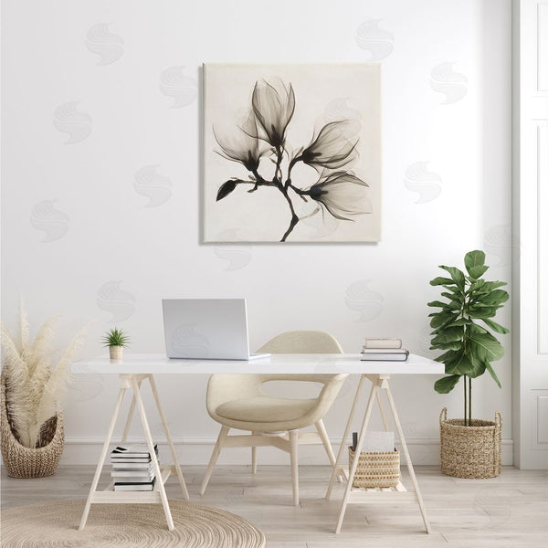 Stupell Industries Image Conscious | Sepia Tone Tree Blossom Florals Translucent Flowers Wall Art