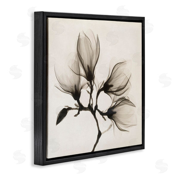 Stupell Industries Image Conscious | Sepia Tone Tree Blossom Florals Translucent Flowers Wall Art