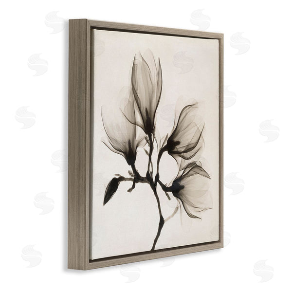Stupell Industries Image Conscious | Sepia Tone Tree Blossom Florals Translucent Flowers Wall Art