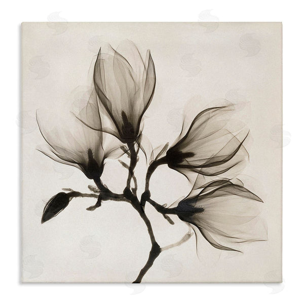 stupell industries Image Conscious | Sepia Tone Tree Blossom Florals Translucent Flowers Wall Art