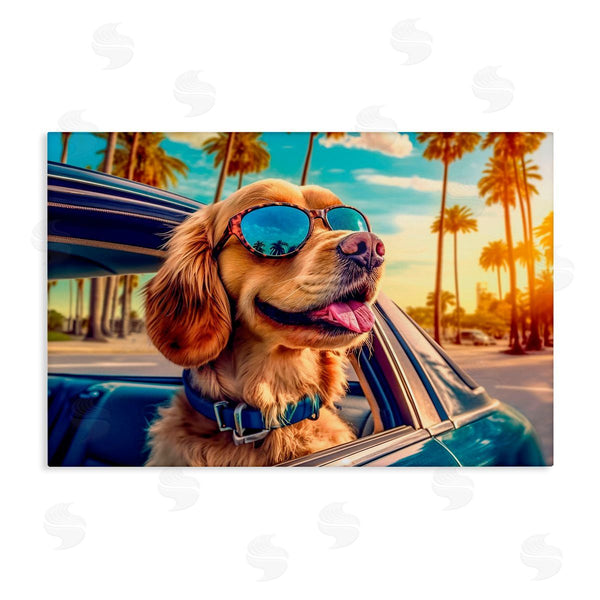 stupell industries Image World | Cool Puppy Summer Sunset