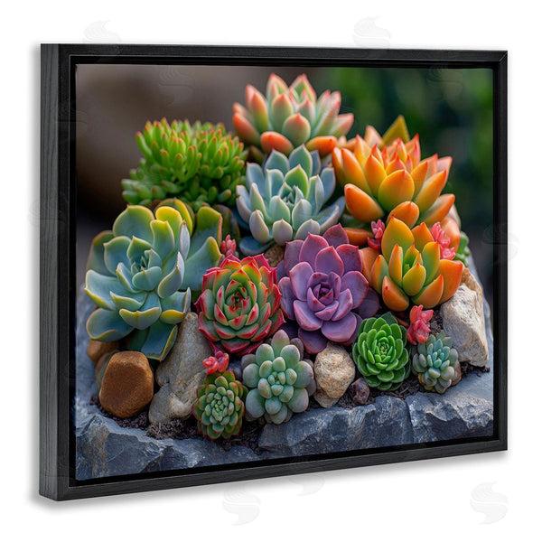 Stupell Industries Imagine It Images | Varied Succulents Photography Wall Art