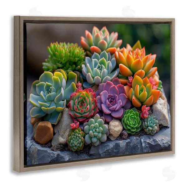 Stupell Industries Imagine It Images | Varied Succulents Photography Wall Art