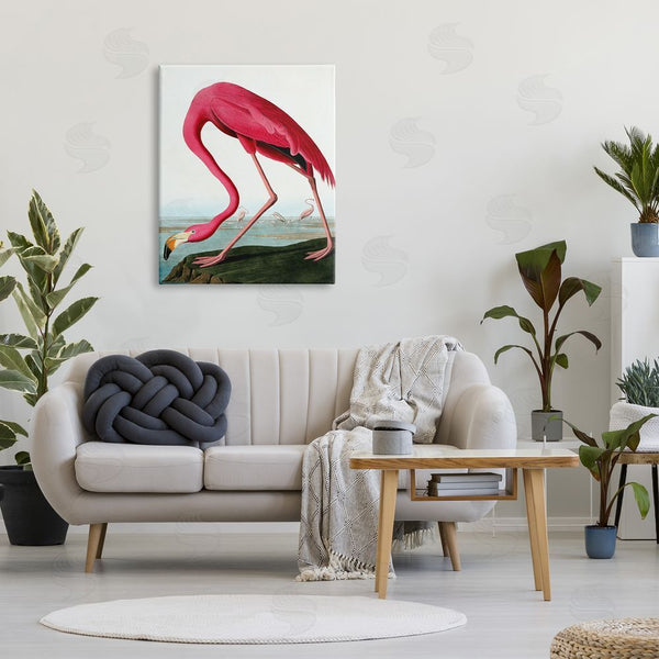 Stupell Industries Incado | Flamingo Stepping Near Pond Wall Art