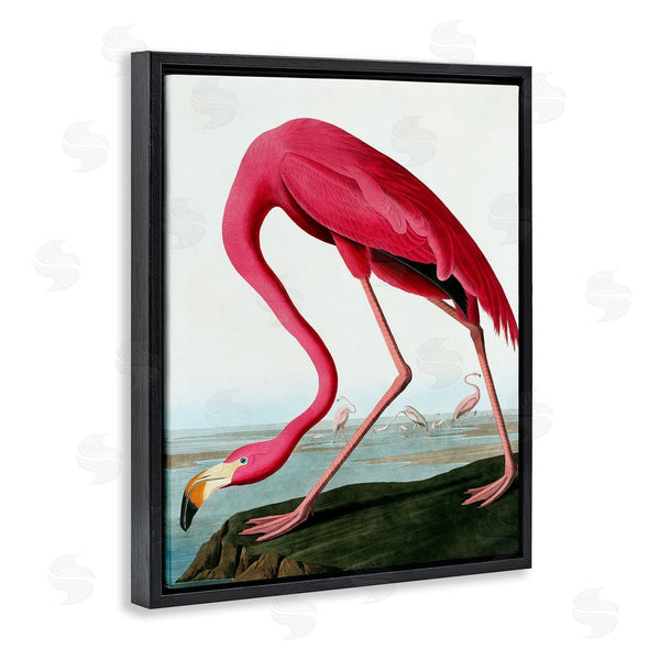 Stupell Industries Incado | Flamingo Stepping Near Pond Wall Art