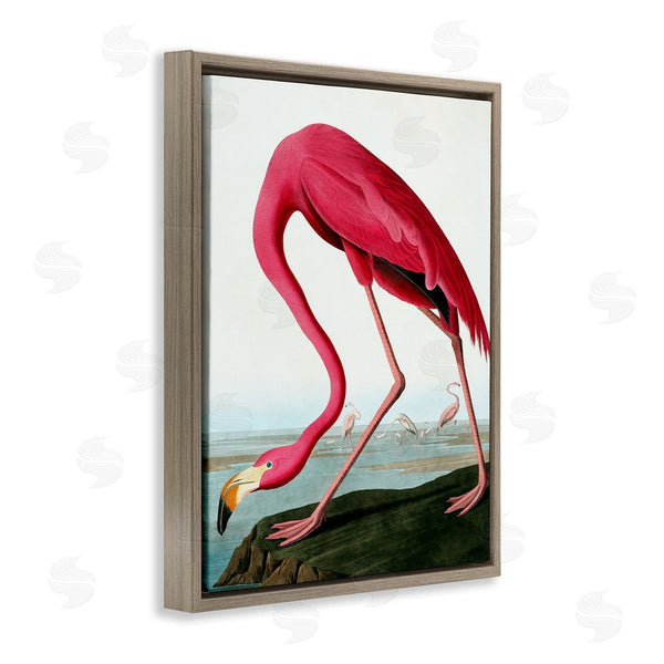 Stupell Industries Incado | Flamingo Stepping Near Pond Wall Art