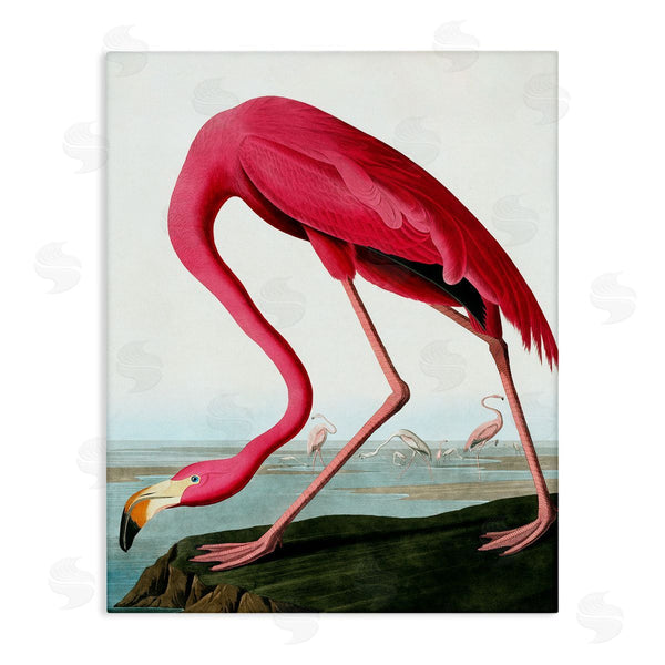 stupell industries Incado | Flamingo Stepping Near Pond Wall Art